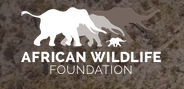 African Wildlife Foundation