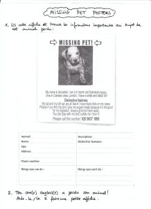 Missing Pets