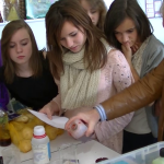 scienceinschools_17_.png