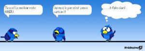 Birds dessinés