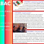 Fichier jpg/esabac_affichette_p_1.jpg